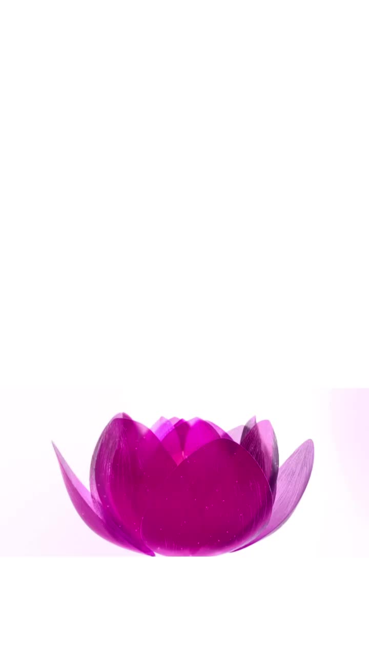 Video post from emilylglaser.