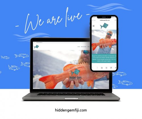 Photo post from counterpoint_digital.