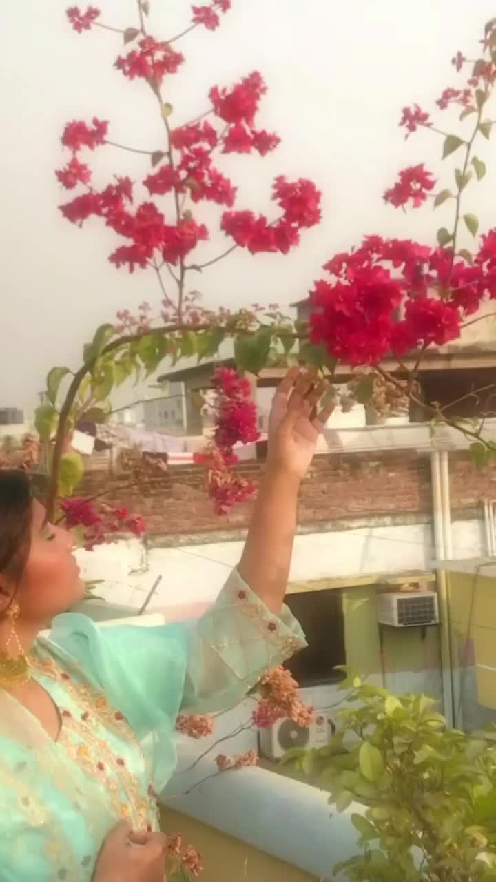 Video post from medha.bee.