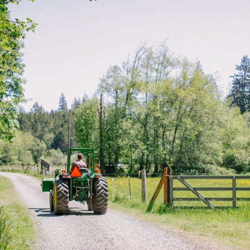 Photo post from hungryhollowfarm.