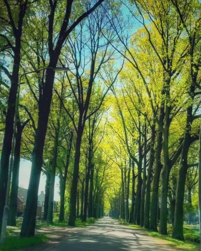 Photo post from visitoirschot.