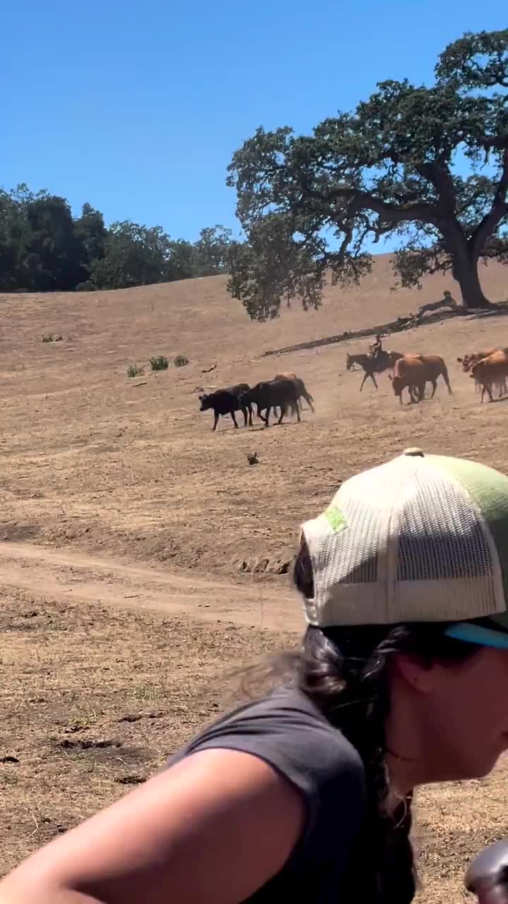 Video post from __amber_lydic__.