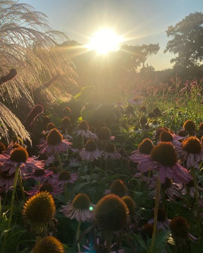 Photo post from sussexprairies.