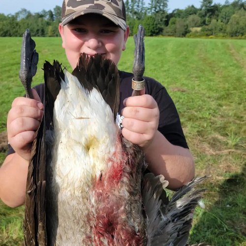 Carousel post from reddogguideservice.