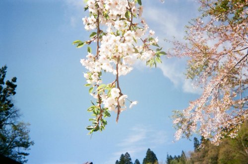 PostPhoto