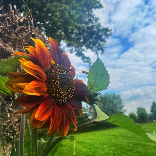 Photo post from visitoirschot.