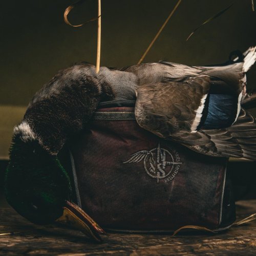 Photo post from northernskiesoutfitters.