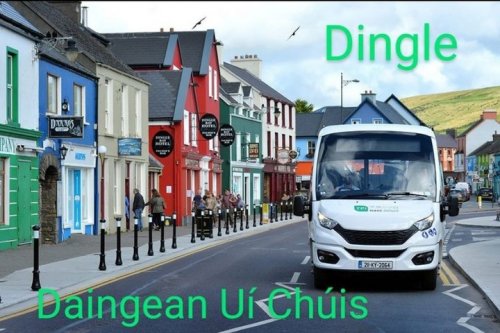 Photo post from dinglepeninsulatourism.