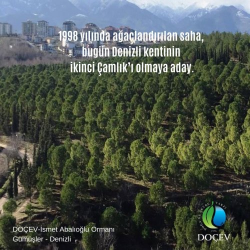 Photo post from dogavecevrevakfi.