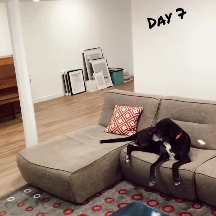 Video post.