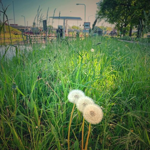 Photo post from visitoirschot.