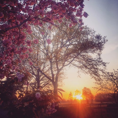Photo post from visitoirschot.