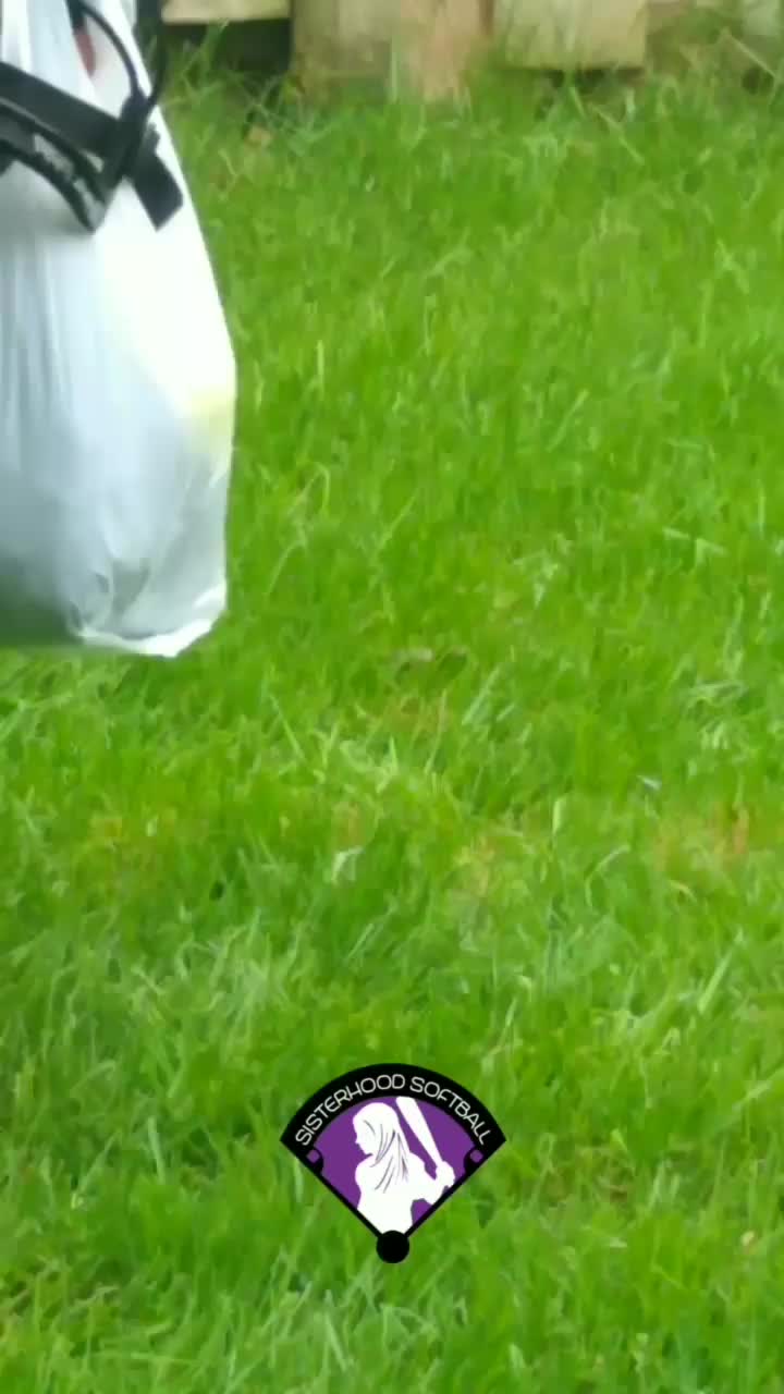 Video post from sisterhoodsoftball.