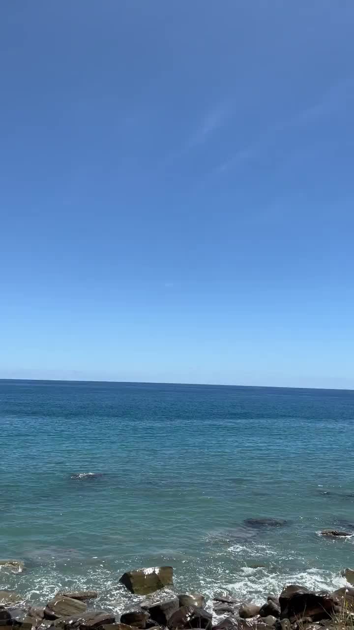 Video post from drcink.