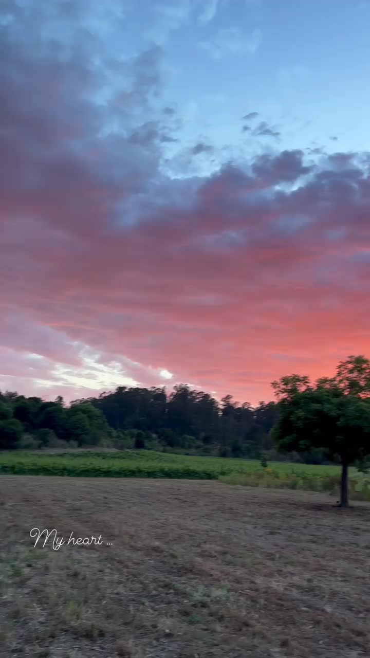 Video post from __amber_lydic__.