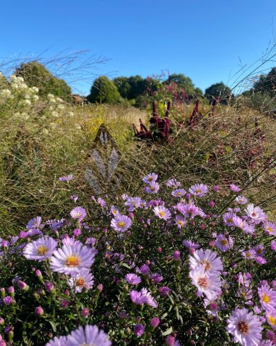 Photo post from sussexprairies.