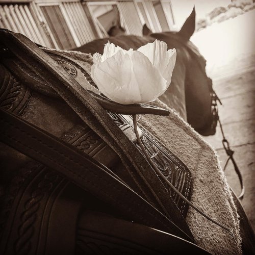 Photo post from __amber_lydic__.