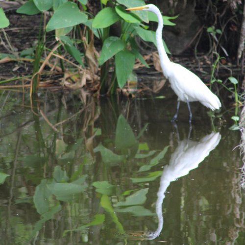 Carousel post from freyaetthor.