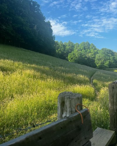 Carousel post from trekdirtyto.me.