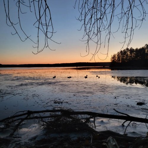 Photo post from reddogguideservice.