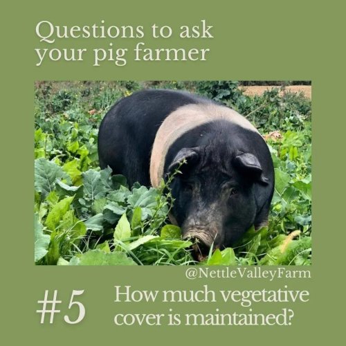 Carousel post from hungryhollowfarm.