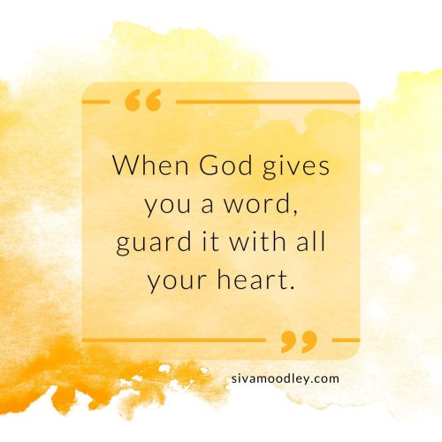 Photo post from drsivamm.