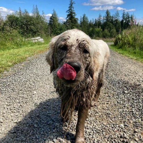 Photo post from hungryhollowfarm.