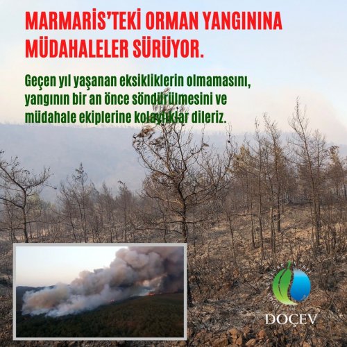 Photo post from dogavecevrevakfi.