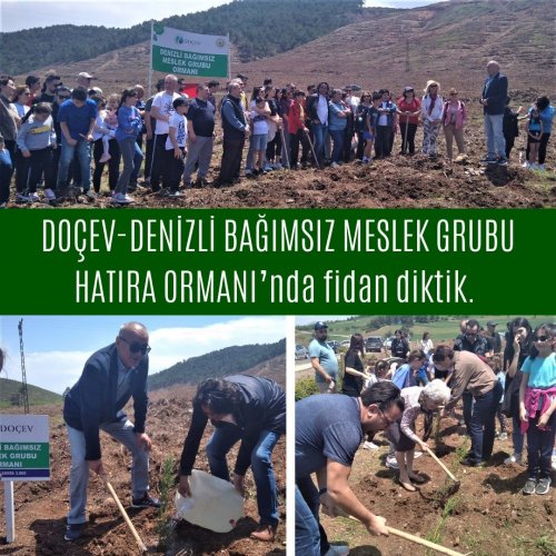 Photo post from dogavecevrevakfi.
