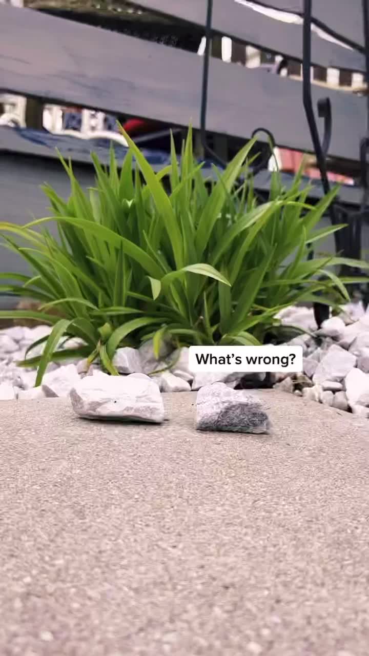 Video post from ruoffmortgage.