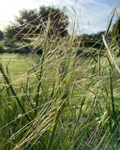 Photo post from sussexprairies.