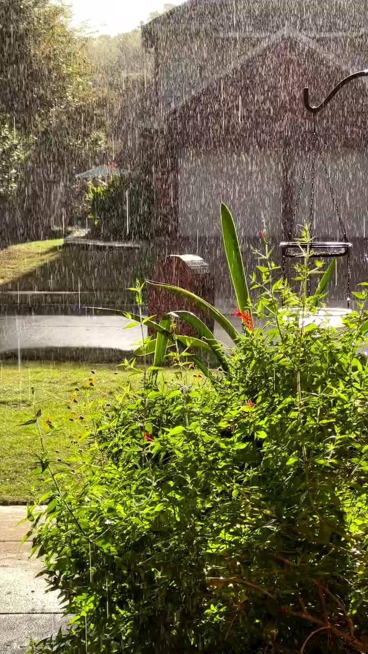 Video post from madebymilne.