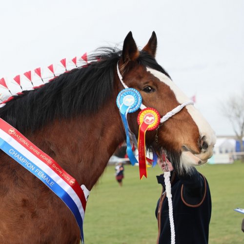 Photo post from bramleynewspaper.