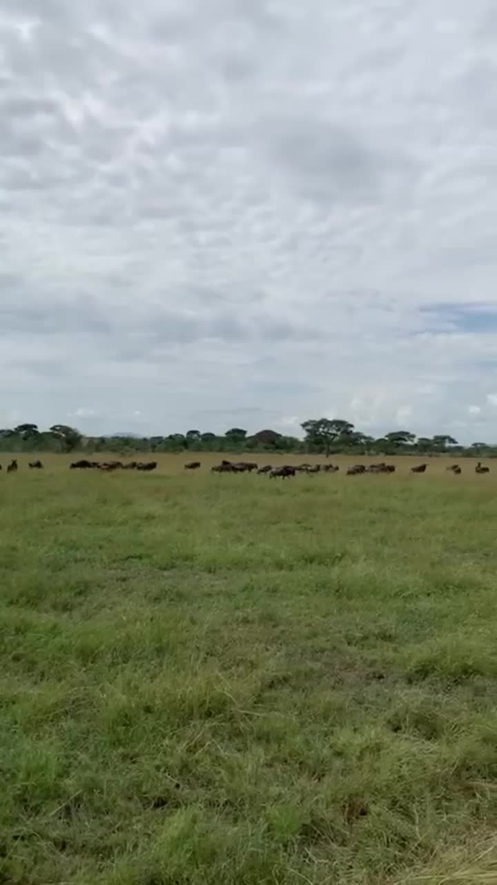 Video post from taucktravel.