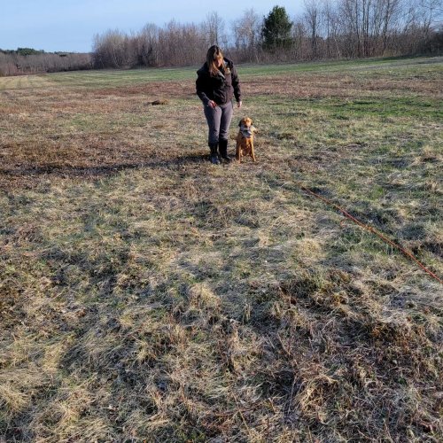 Carousel post from reddogguideservice.