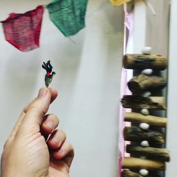 Video post from bodyharmonie_marrickville.