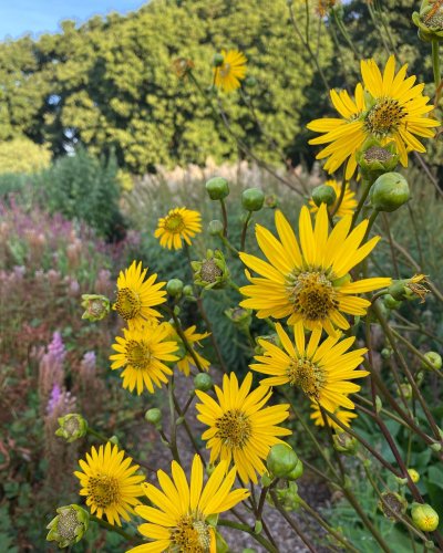 Photo post from sussexprairies.