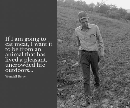 Photo post from hungryhollowfarm.