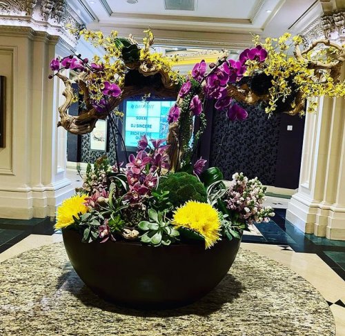 Photo post from giffordsweddings.