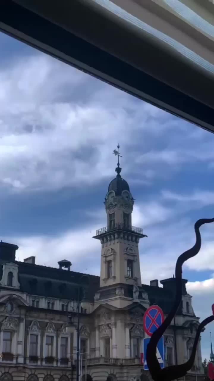 Video post from sun_sushi_restaurant.