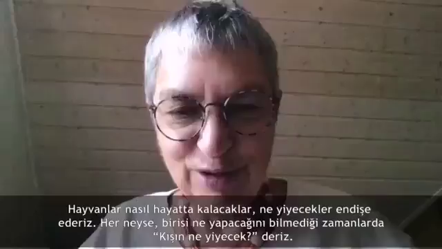 Video post from panyayinevi.