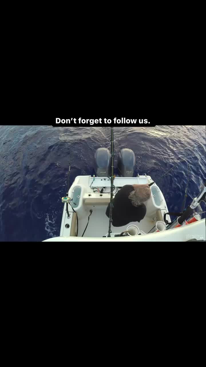 Video post from ejs_fishing_charters.