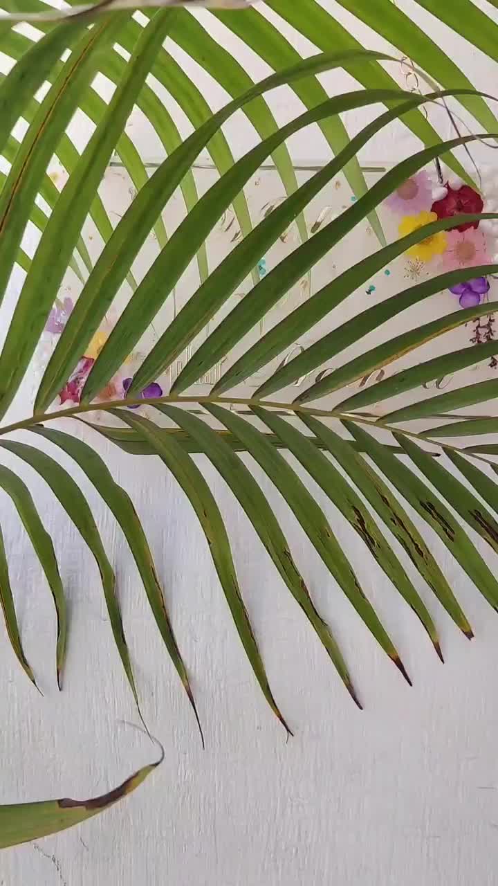 Video post from my_creative_nest.aainanischal.