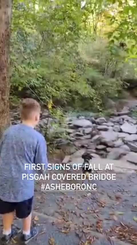 Video post from theheartofnc.