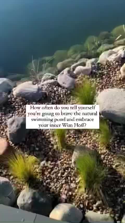 Video post from glasshouseretreat.