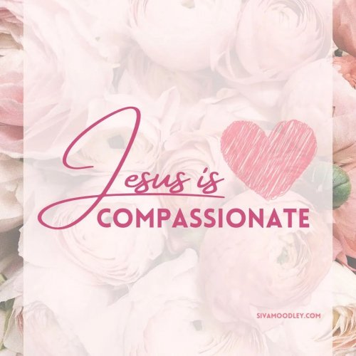 Photo post from drsivamm.