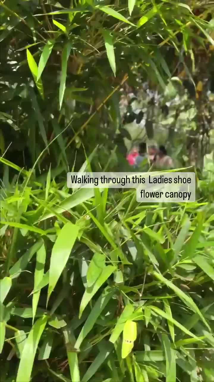 Video post from purkinje_crazyforplants.