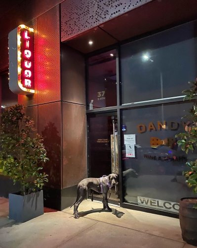 Photo post from dandywineshop.