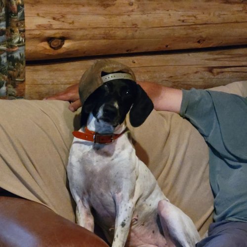 Carousel post from reddogguideservice.