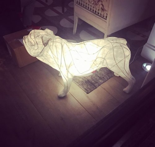 Photo post from nydreamer7.